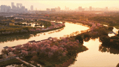 购房的户型最好要两居室以